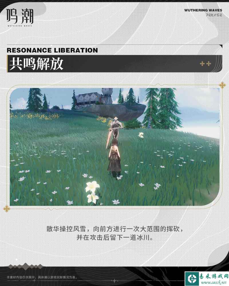 网