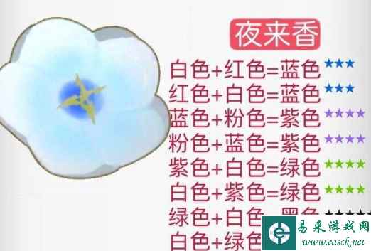 网11