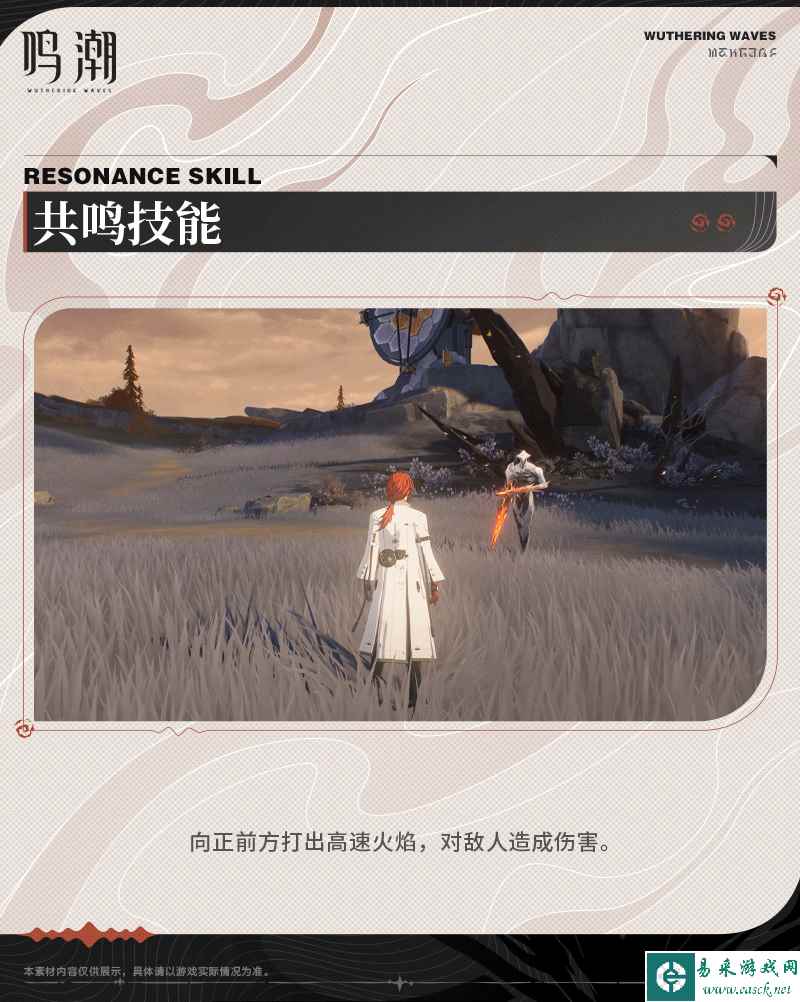 网