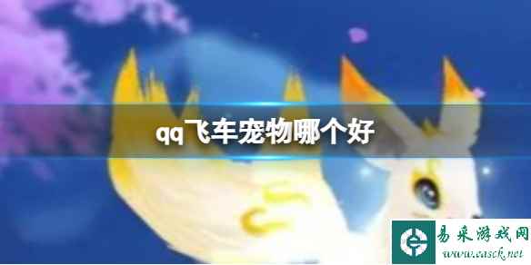 网1