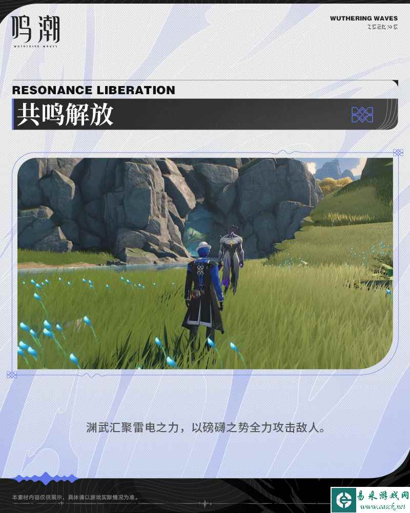 网
