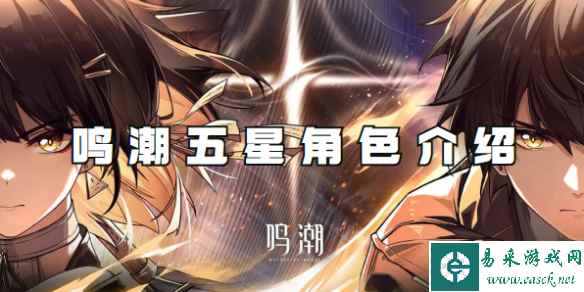 鸣潮五星角色介绍
