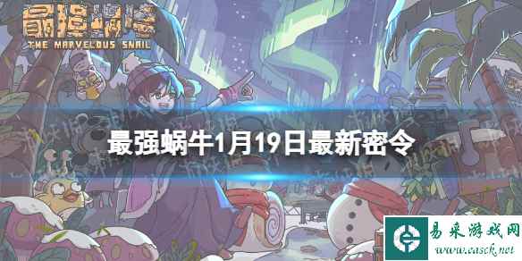 网1