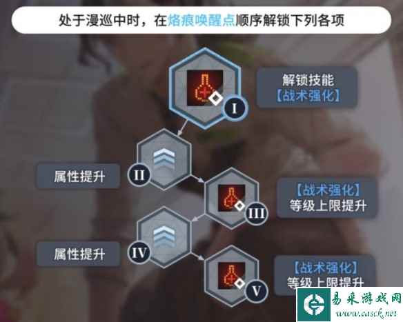 网12