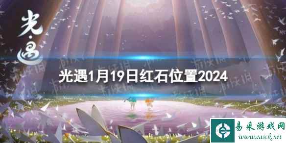 网1