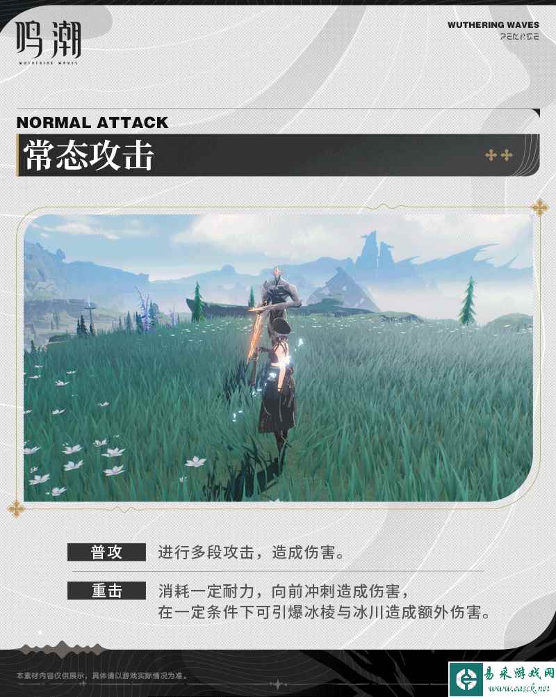 网