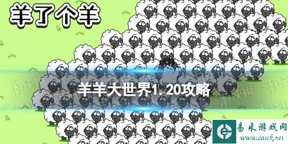 网1