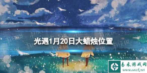 网1