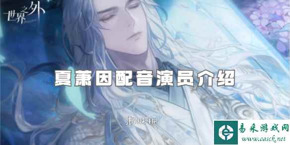 网1