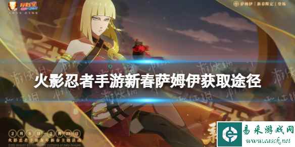 网1