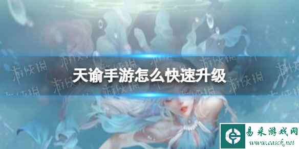 网1