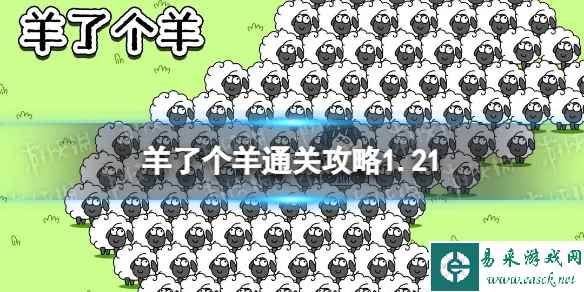 网1