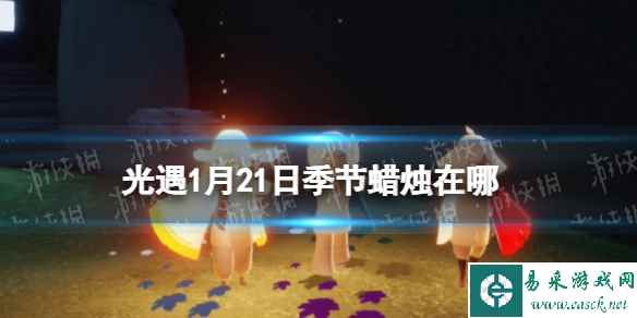 网1