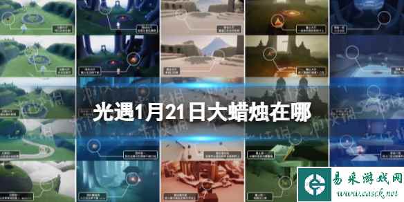 网1