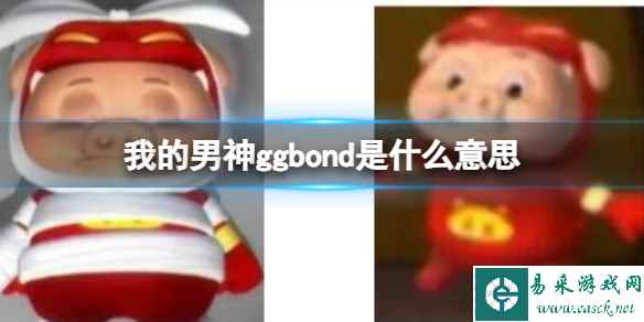 网1