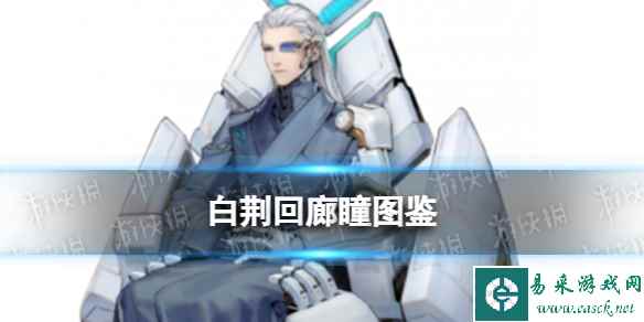 网1