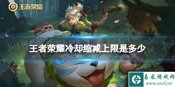 网1