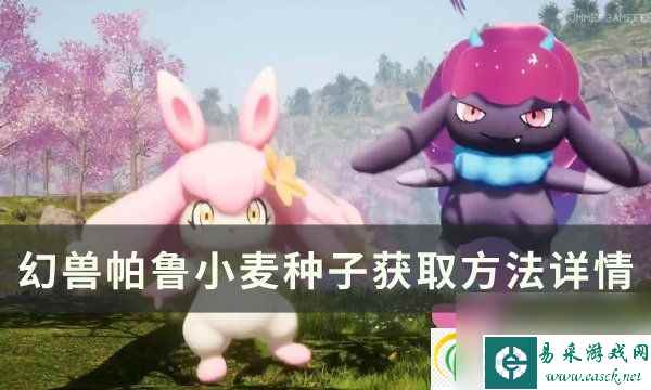 幻兽帕鲁小麦种子怎么获得 小麦种子获取方法详情