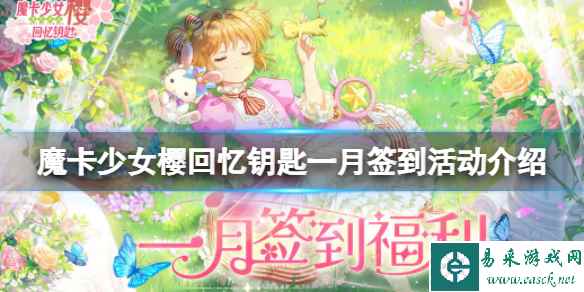 网1