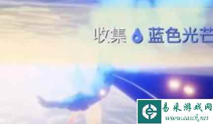 网6