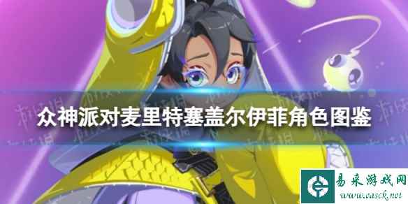 网1