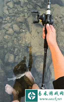 昆汀转世成鱼后belike 动图 打野龙龟抢鳄鱼人头