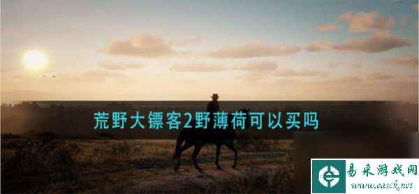 荒野大镖客2野薄荷可以买吗 具体一览