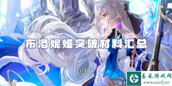 网1