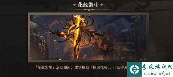 网4