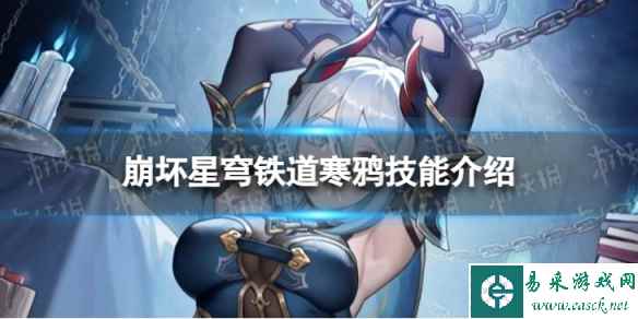 网1