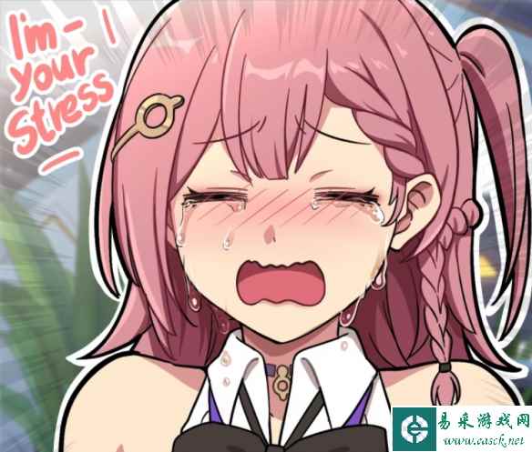 网11