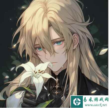 网5