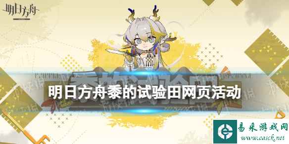网1