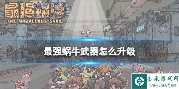 网1