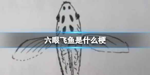 网1