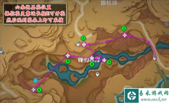 网2