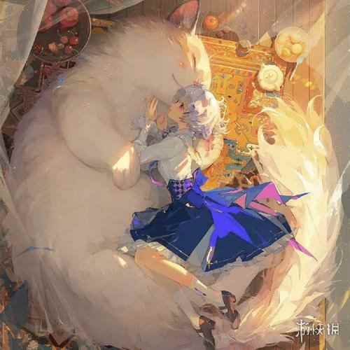 网11