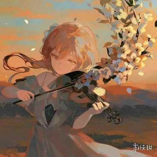网15