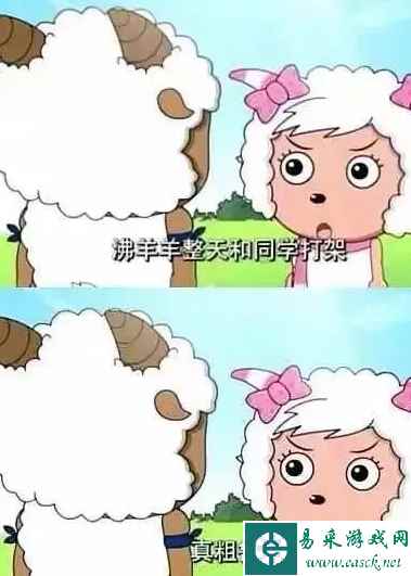 网2