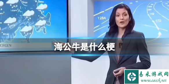 网1