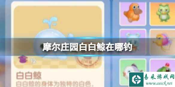 网1