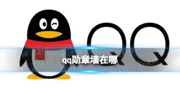 网1