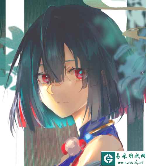 网24