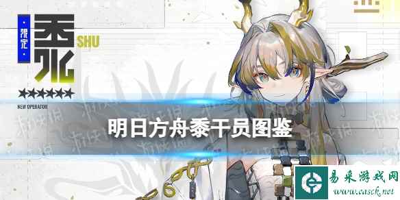 网1