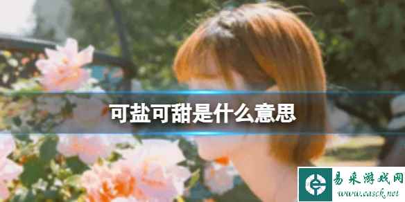 网1