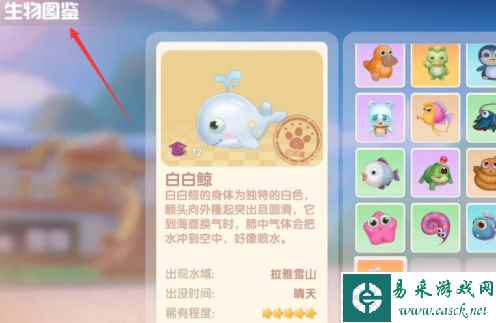 网3