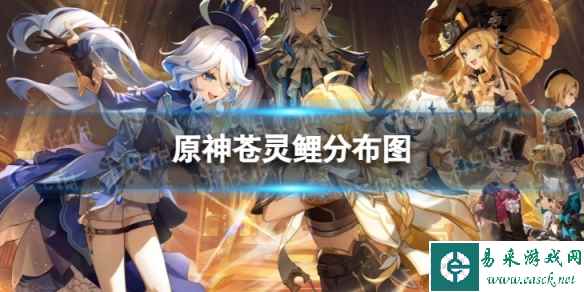 网1