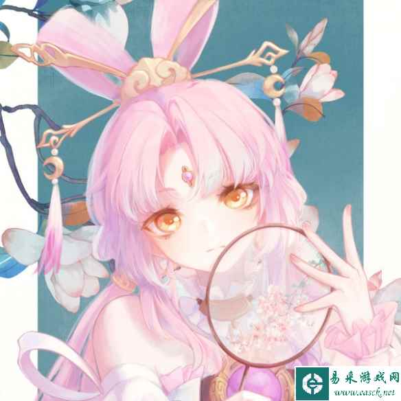 网11