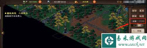 网4