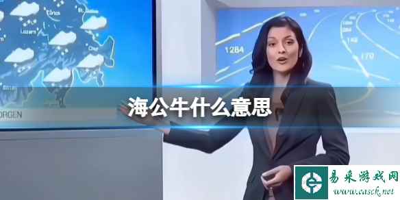 网1